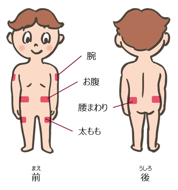 部位